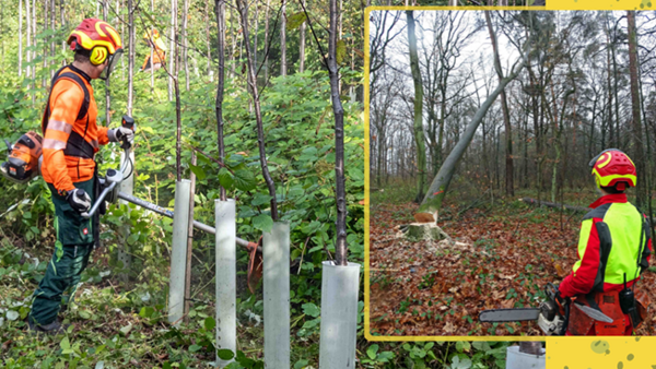 Arbeiten, wo andere Erholung suchen Arbeiten, wo andere Erholung suchen